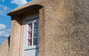Fluxton thatch roof disadvantages